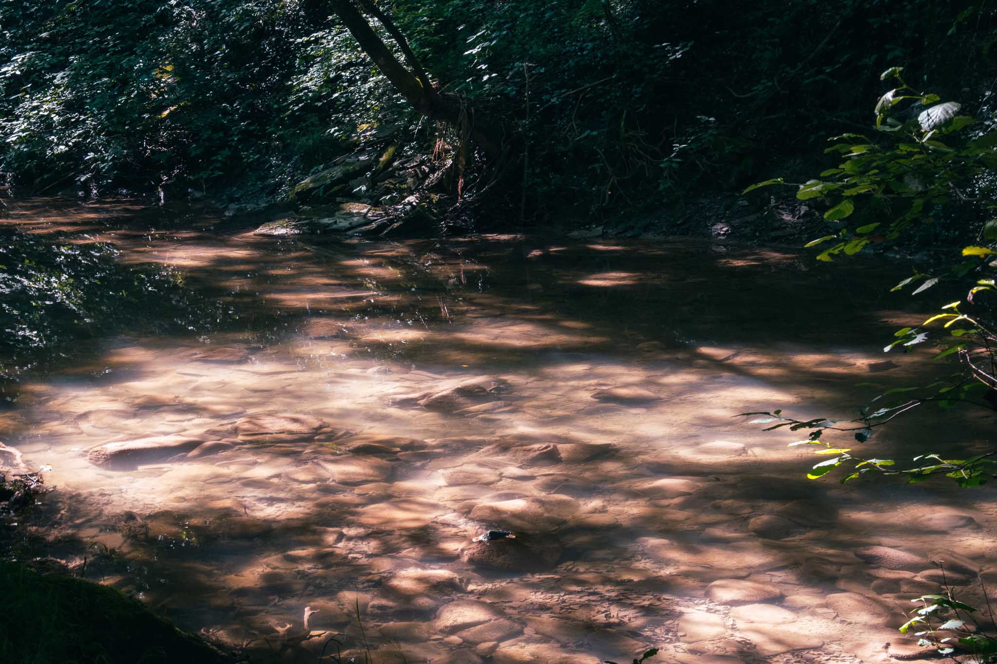 Acquacheta Waterfall
